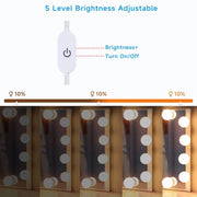 LED Vanity Mirror Lights with 10 Dimmable Bulbs
