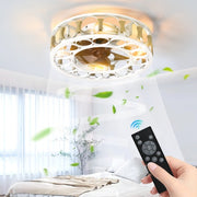 Cage Ceiling Fan with Light & Remote – 6-Speed