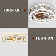 Cage Ceiling Fan with Light & Remote – 6-Speed